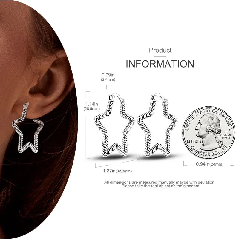 Shiny Earrings  925 Silver