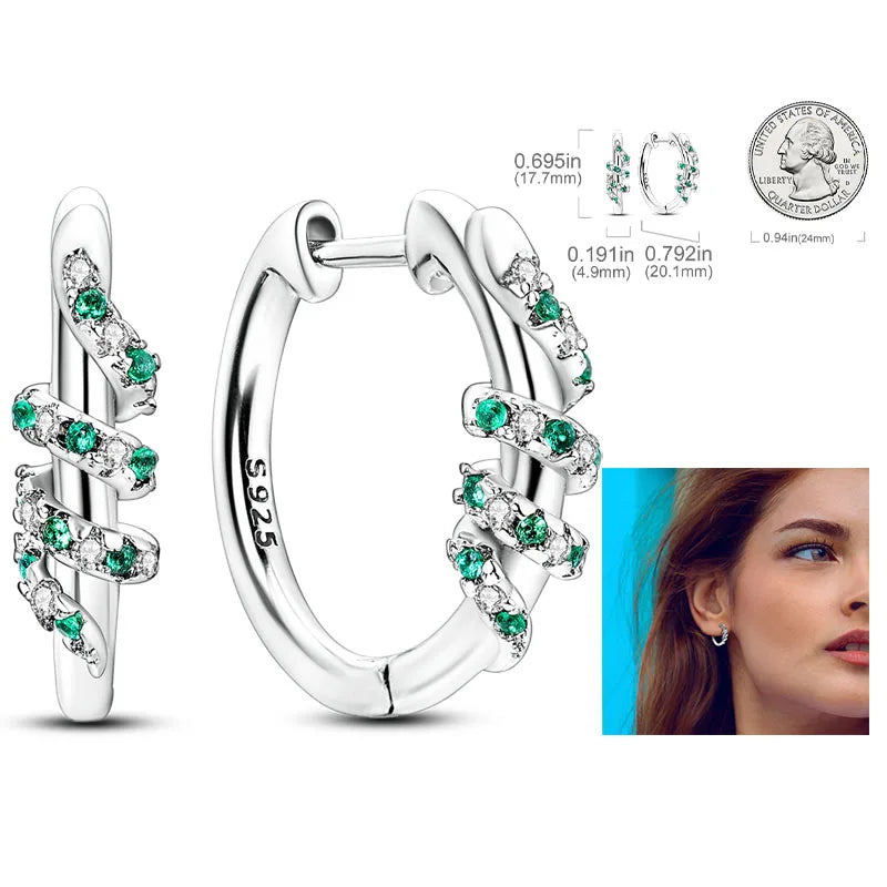 Shiny Earrings  925 Silver